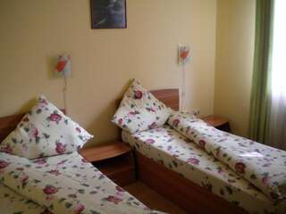 Мотели Motel Dalia Джилэу Двухместный номер с 2 отдельными кроватями-1